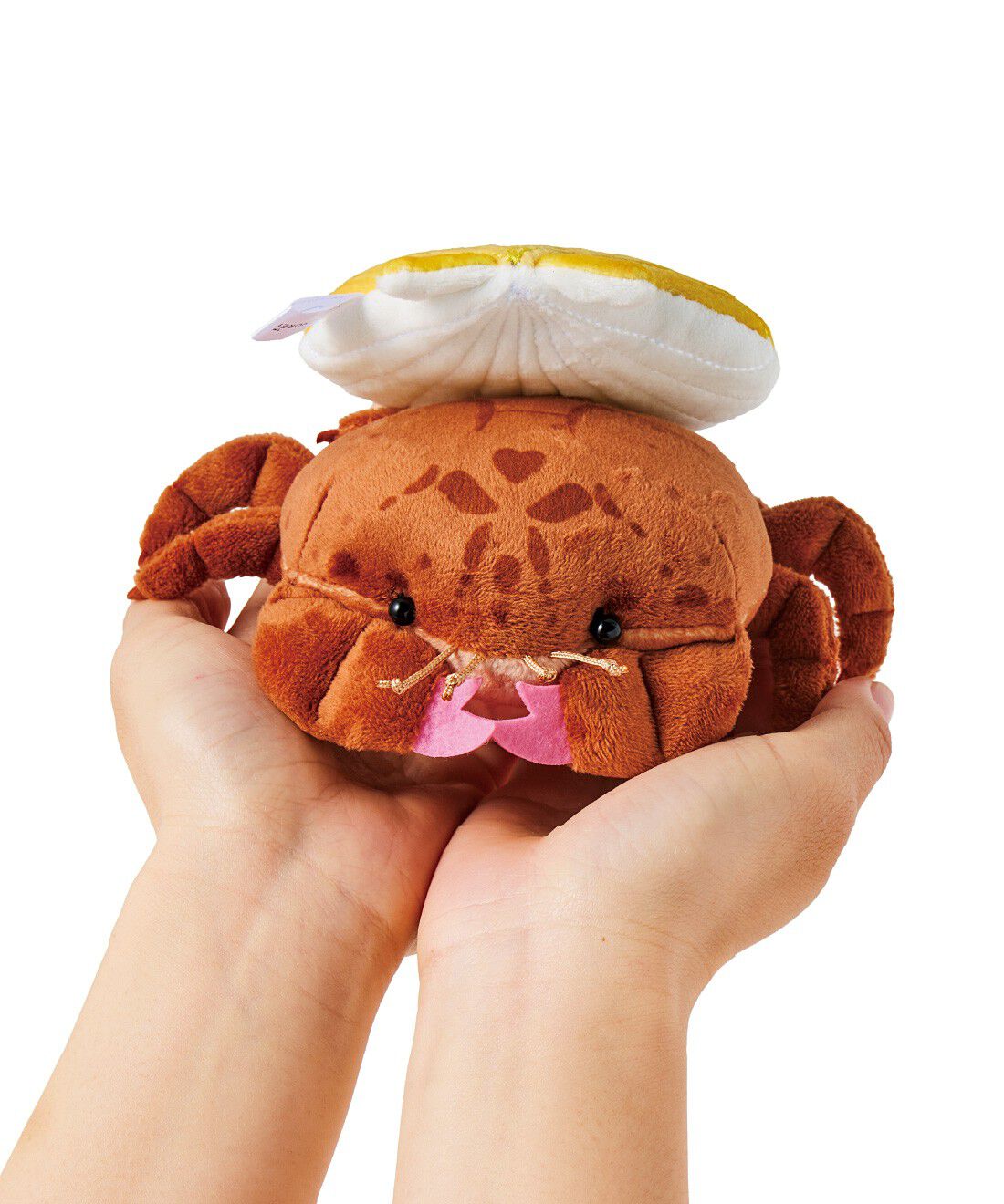 YOU+MORE!|YOU＋MORE！　貝殻を背負った まんまるカイカムリぬいぐるみ|リアルなサイズとずっしり感。