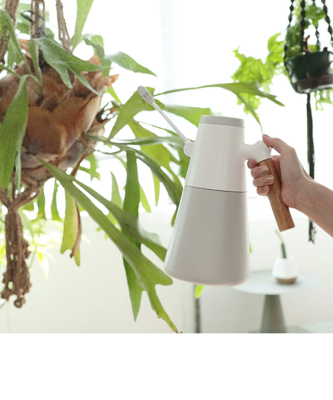 FELISSIMO PARTNERS | 電動ミスト　ＳＰＬＡＳＨＦＩＥＬＤ　ＰＯＴ