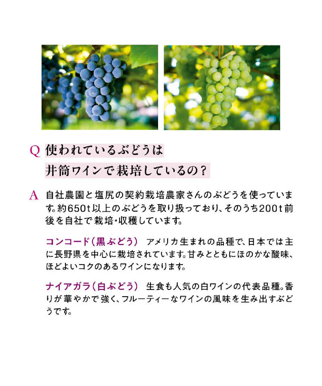 ごちSO! おとりよせマルシェ|【予約限定・締切9月7日】井筒の生ワイン 赤・白 6本セット