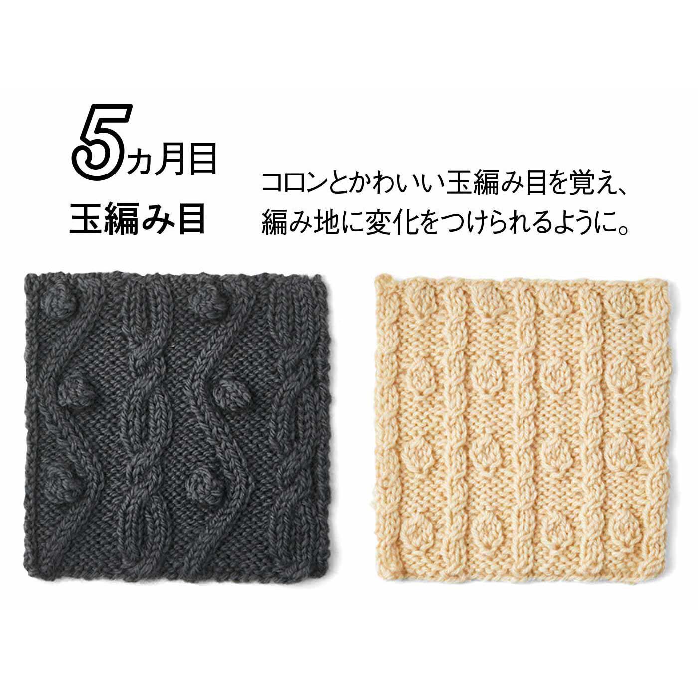 クチュリエ|【6回エントリーで初回35％OFF】「はじめてさんのきほんのき」棒針編みアラン模様レッスンの会