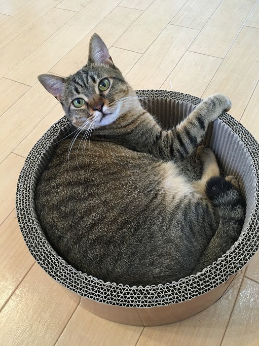 
職人本革のスケジュール帳カバー
