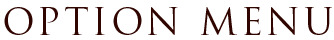 OPTION MENU