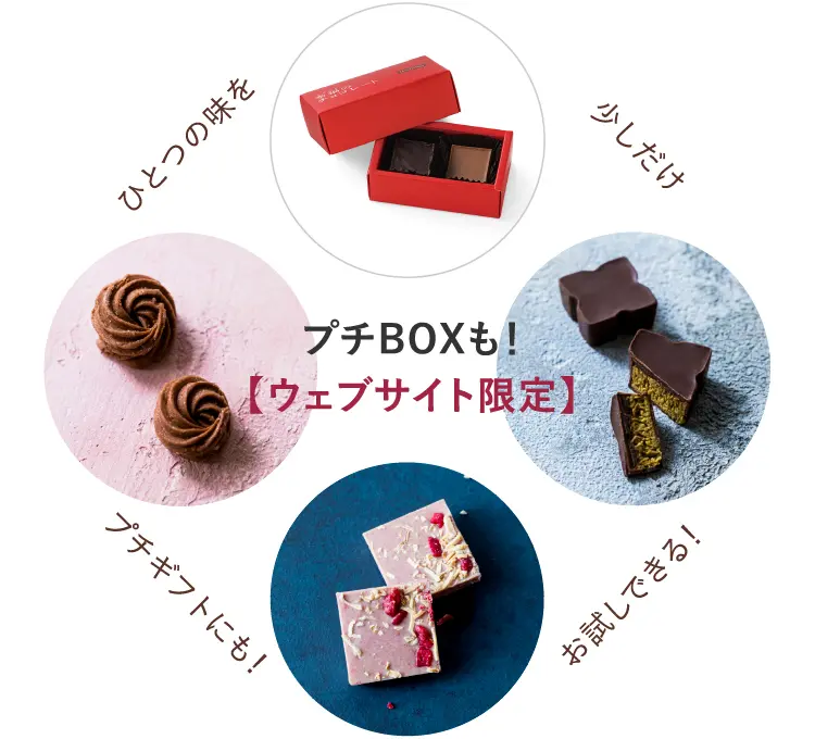 ウェブサイト限定
