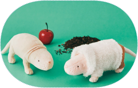 チャクイデバネズミ