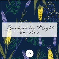 Banksia by Night　夜のバンクシア