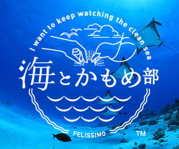 海とかもめ部 